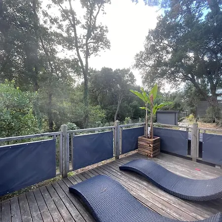 Mobile 3 Terrasse 50 M2